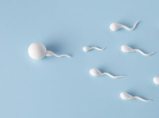 Как проходит обследование